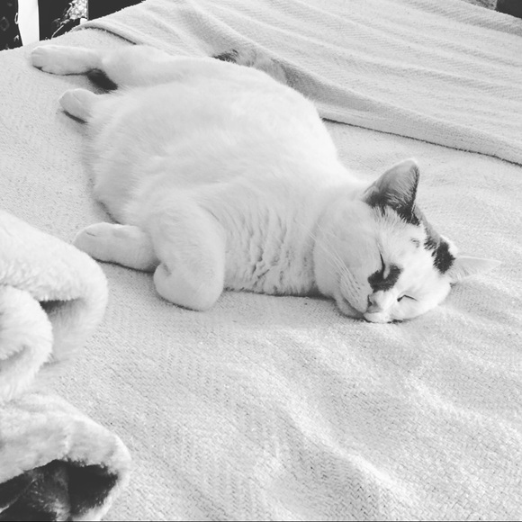 READ ME.txt 💻 - Picture 3 of 9